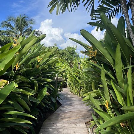 Eden Paradise Ecolodge & Spa Sainte-Luce Buitenkant foto