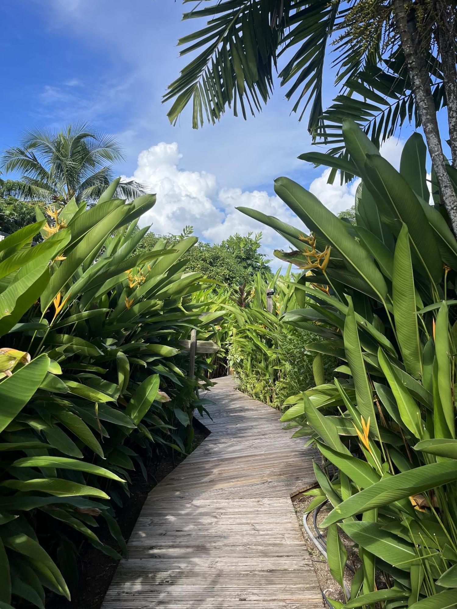 Eden Paradise Ecolodge & Spa Sainte-Luce Buitenkant foto