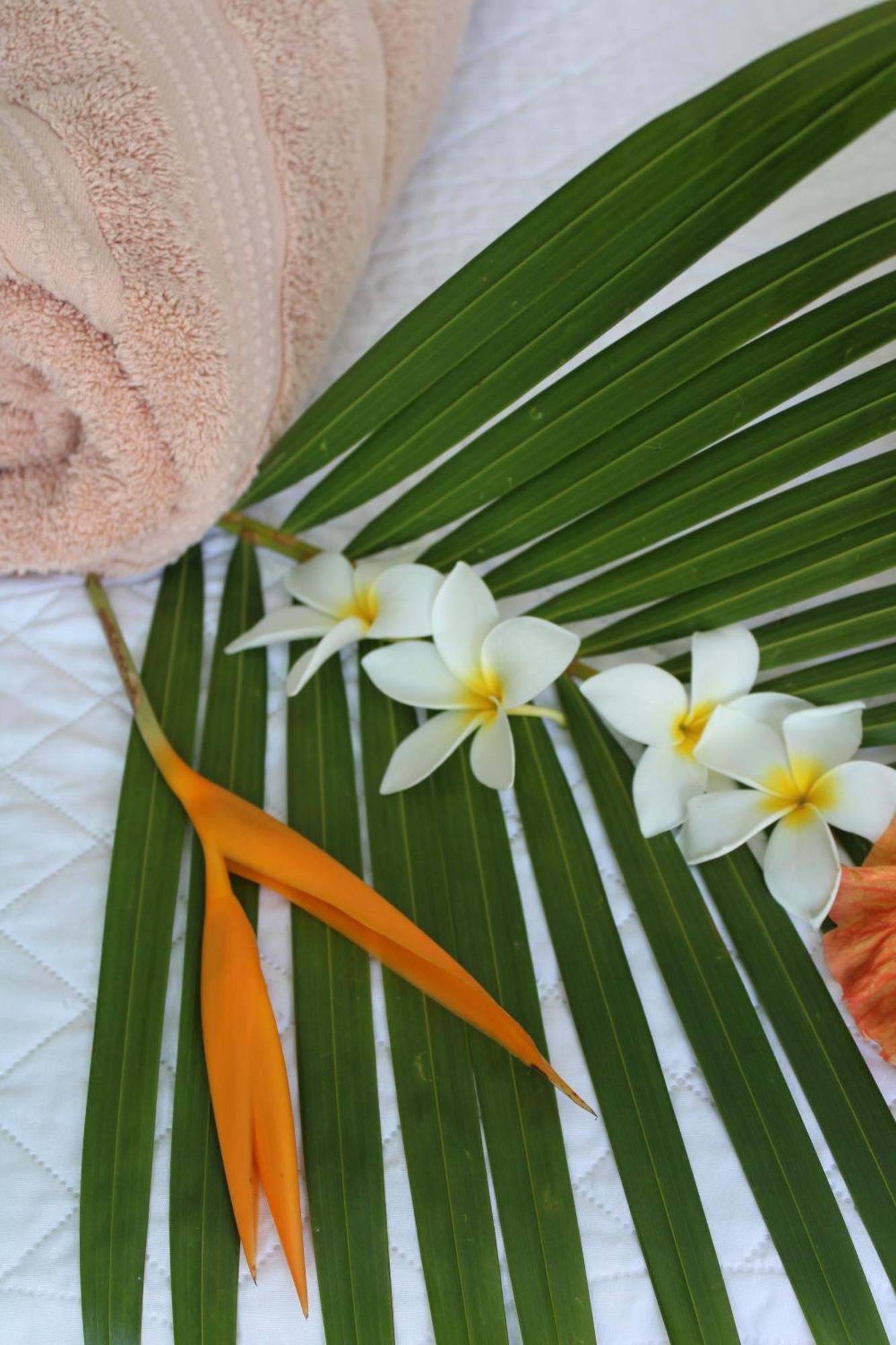 Eden Paradise Ecolodge & Spa Sainte-Luce Kamer foto