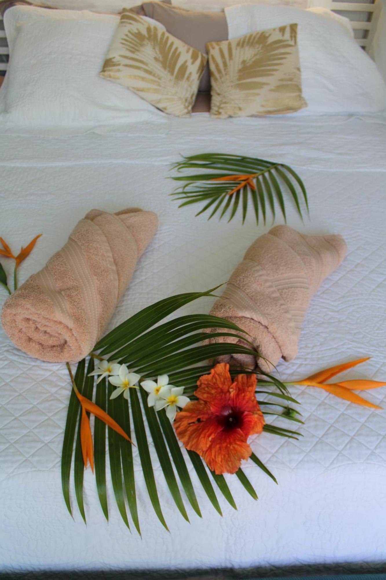 Eden Paradise Ecolodge & Spa Sainte-Luce Kamer foto
